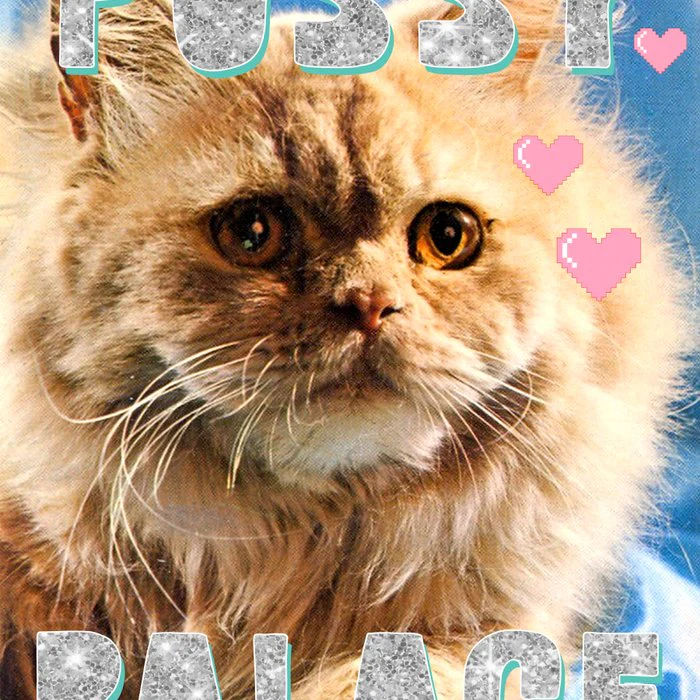 Pussy Palace (Glitter Cat)