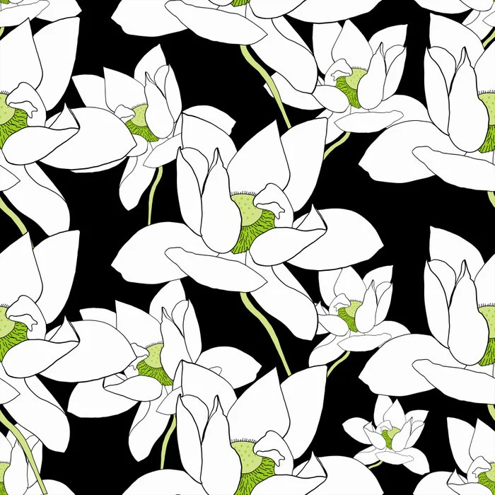 White lotus flowers on black