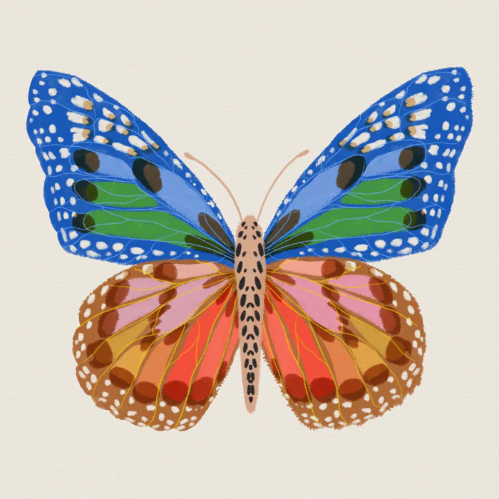 Rainbow Butterfly