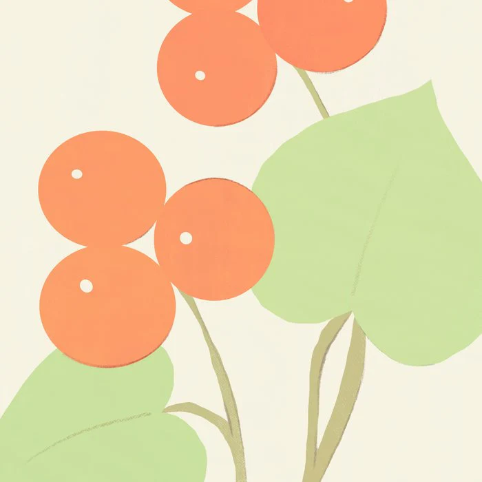 Simple Still Life with Orange Berries