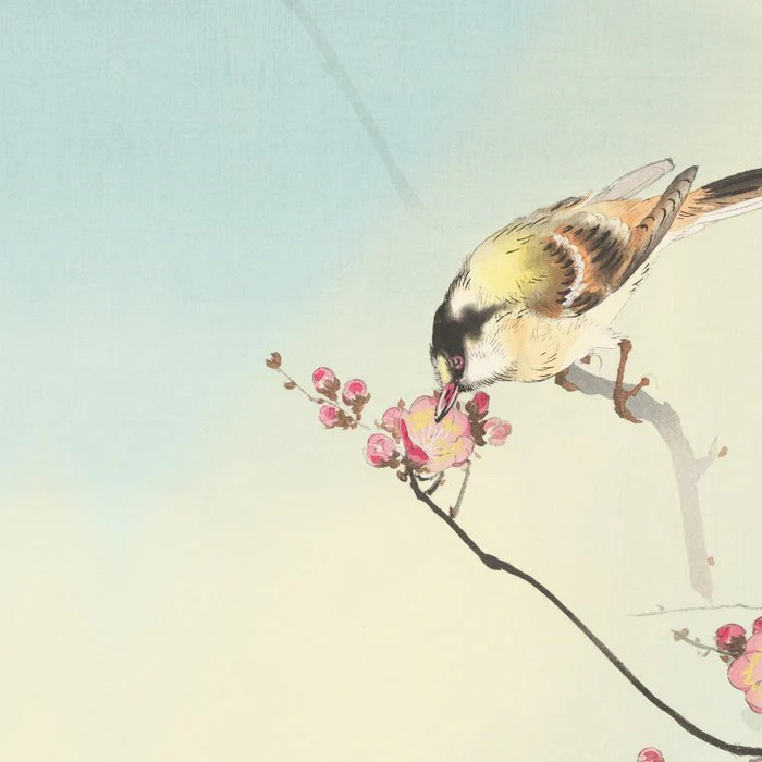 Small Bird No 2 - tribute to Koson