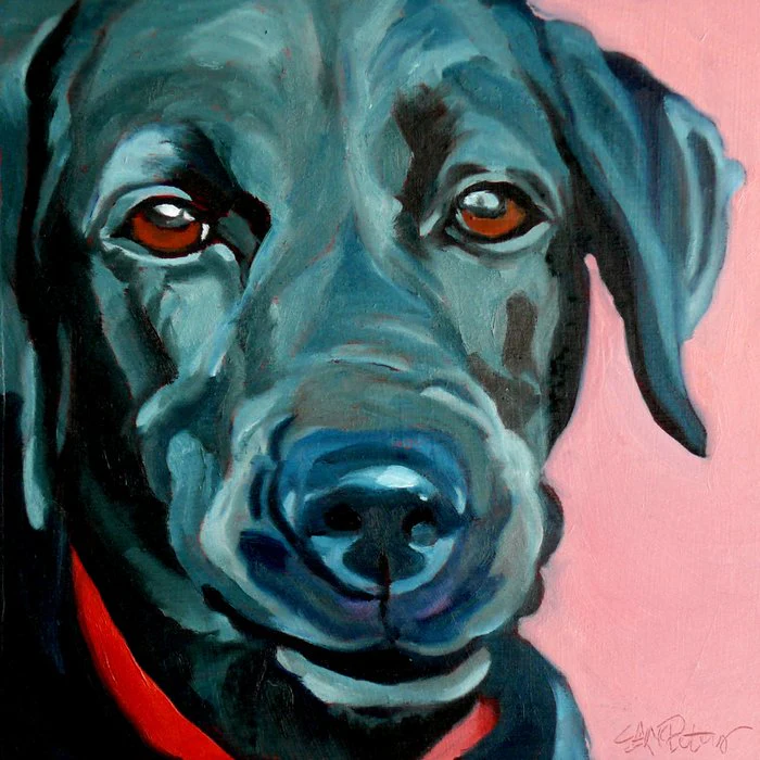 Black Labrador Polly Dog Portrait