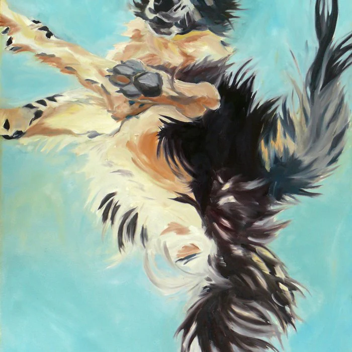 Border Collie in Flight Dog Portrait Painting