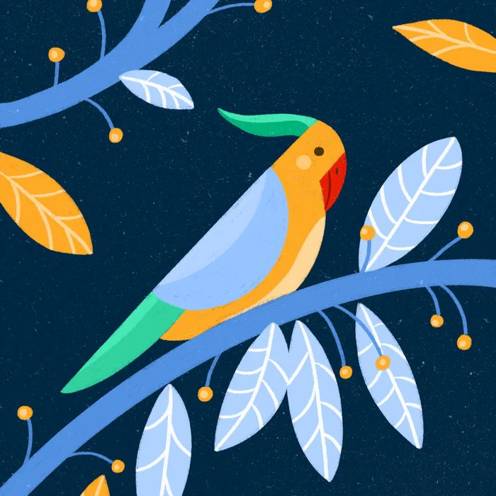 Blue and yellow Perrot